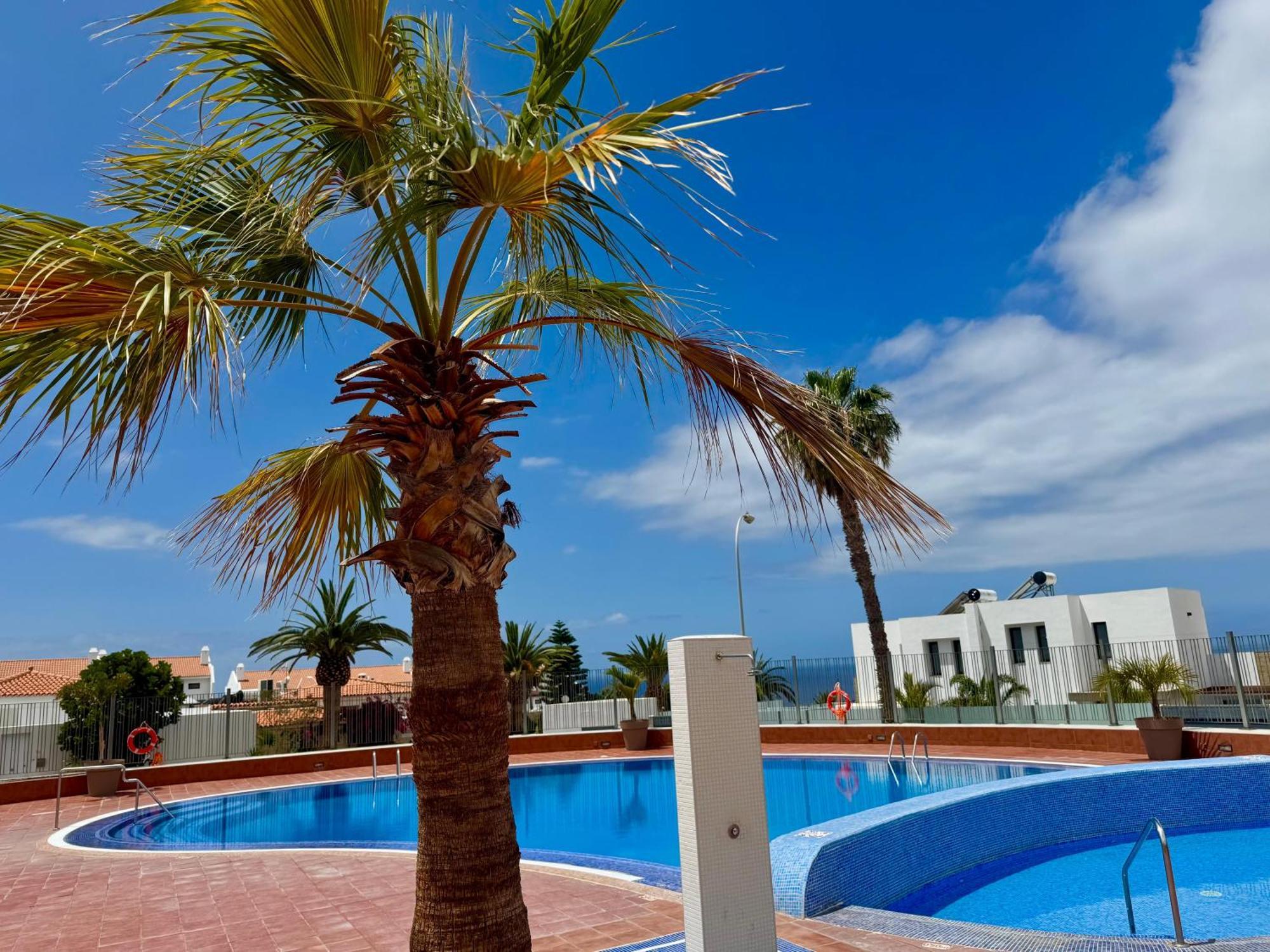 Stunning Apartments With Pool Tenerife Costa Adeje  Exterior foto